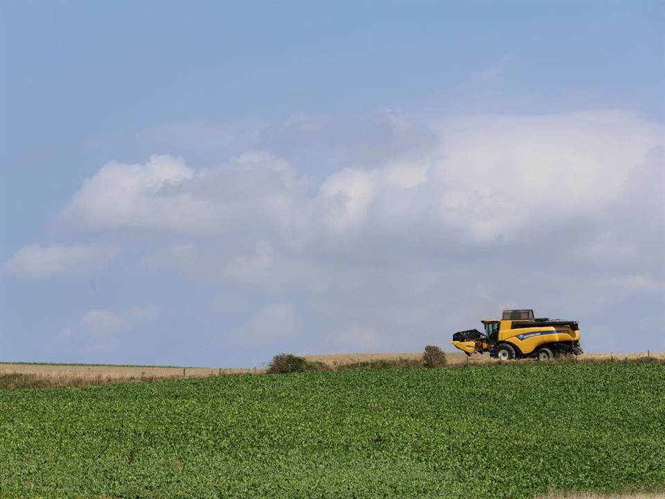 Extensive Highveld Dryland Farm Near Balfour