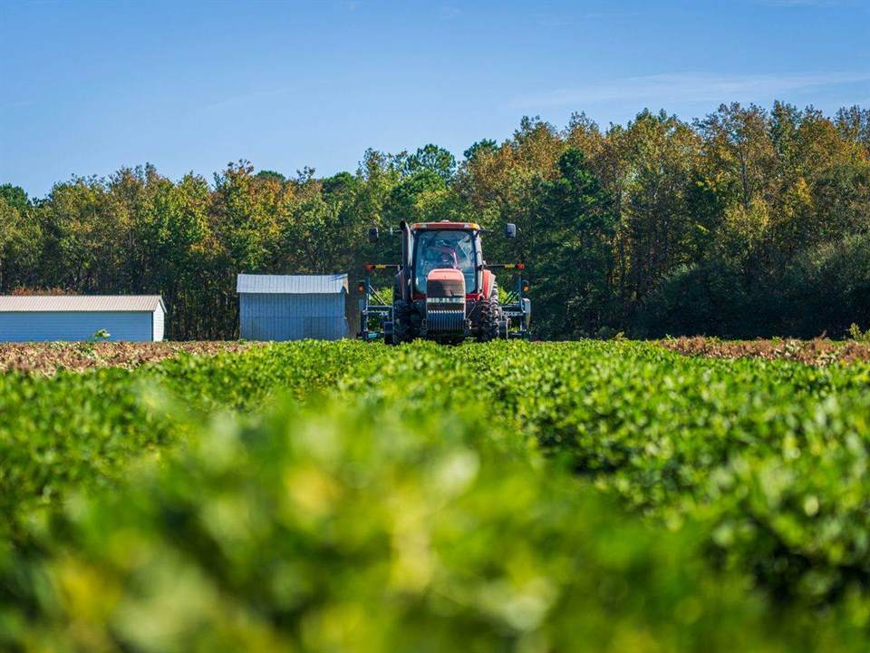 425ha Commercial Farming Property Offered at Auction