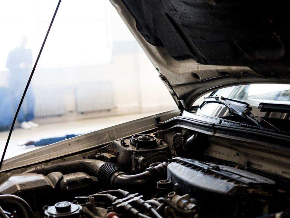 Established New Auto Parts Retail Business