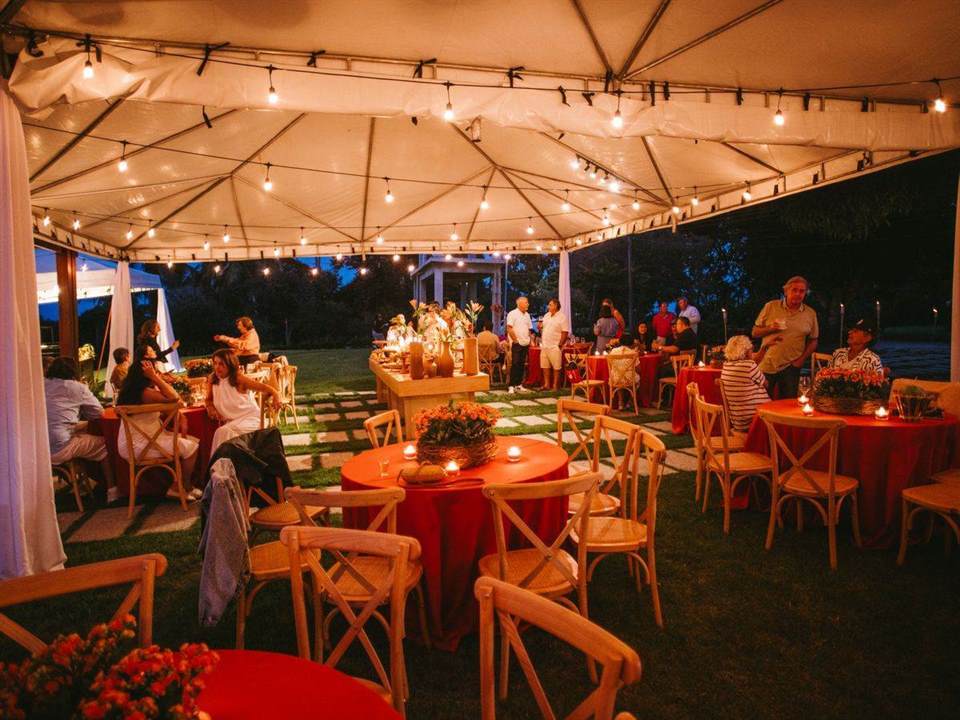 Established Event Styling and Equipment Rental Business — Profitable and Relocatable Nationwide