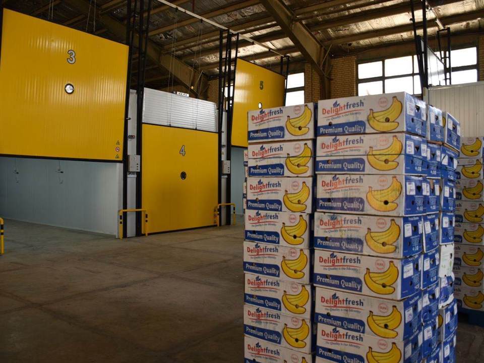 Established Eastern Cape Food Distributor — Wholesale and Retail
