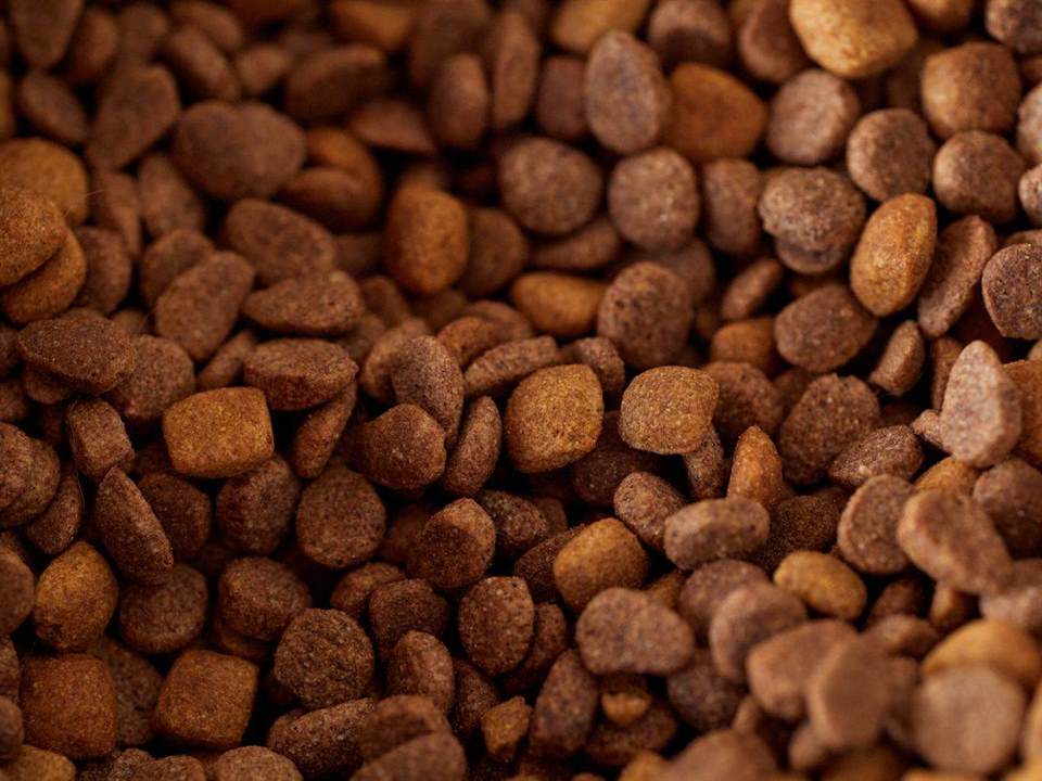 Established Premium Pet Products Manufacturer with Strong Growth
