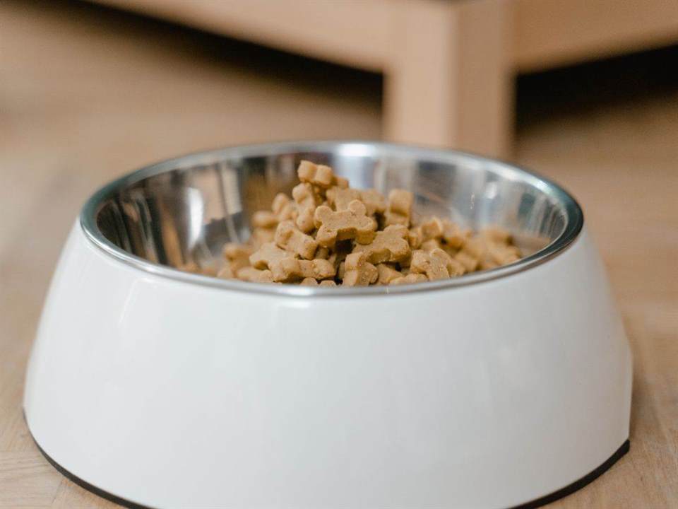 Established Wild Bird Feed Retail Business — Johannesburg Northern Suburbs