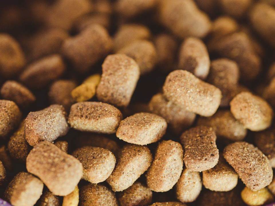 Established Wild Bird Feed Business – Northern Johannesburg